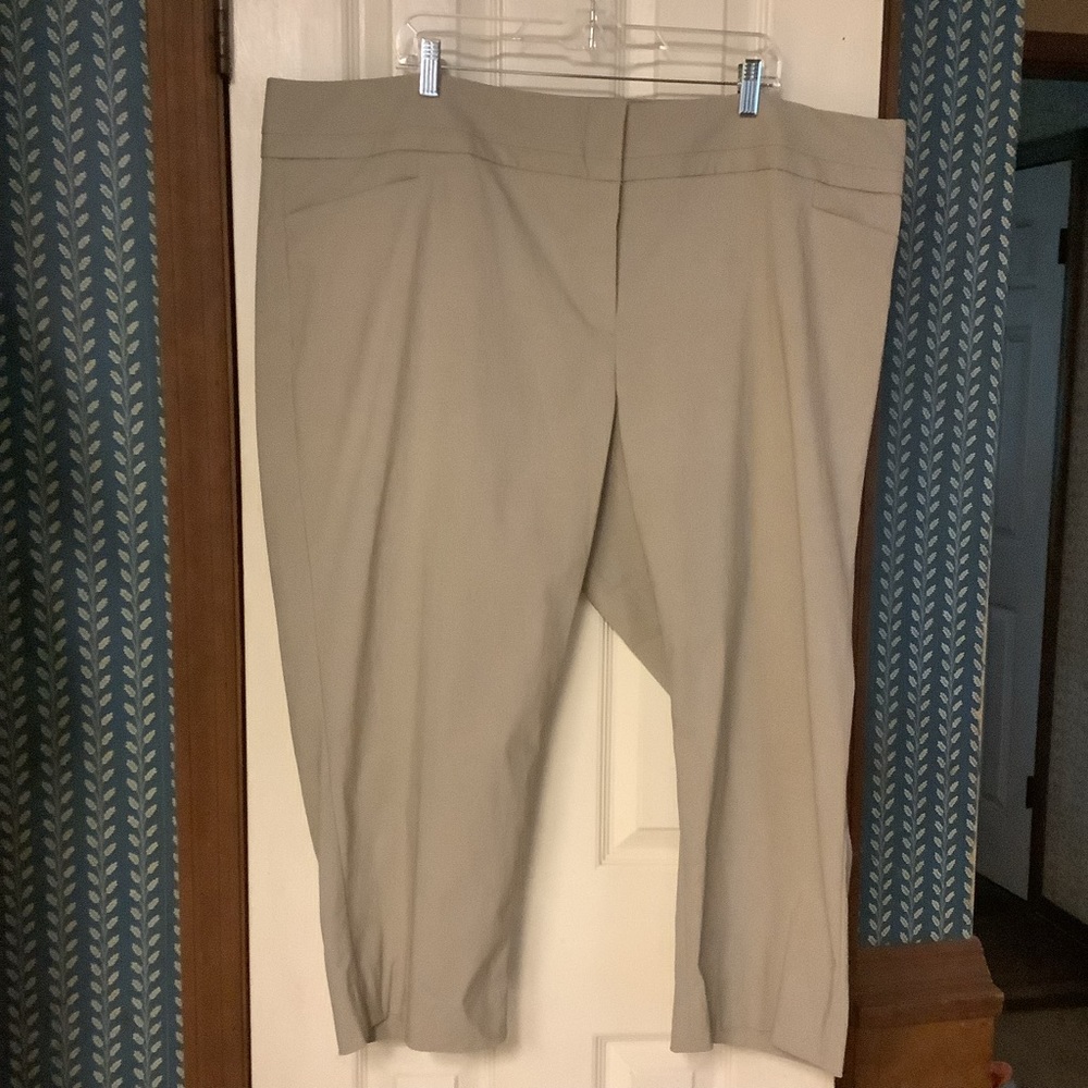 Eloquii By The Limited Classic Fit Pants Tan Size 24W NWT